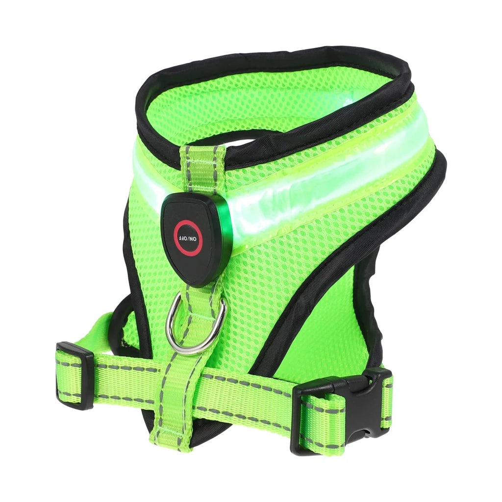 Harnais fluorescent pour petit chien lumineux de couleur jaune fluo. Image produit Boutiquechien