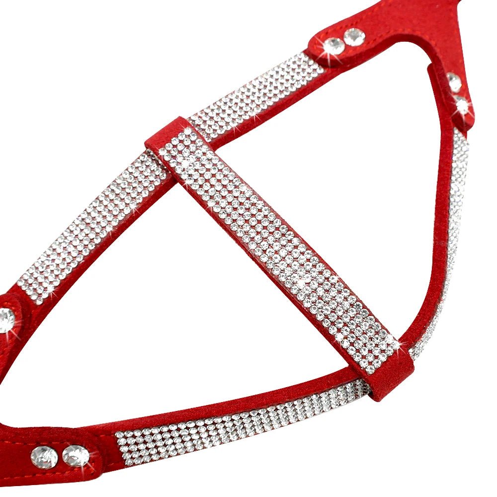 Harnais chien à paillette de couleur rouge pour chien. Image produit Boutiquechien 