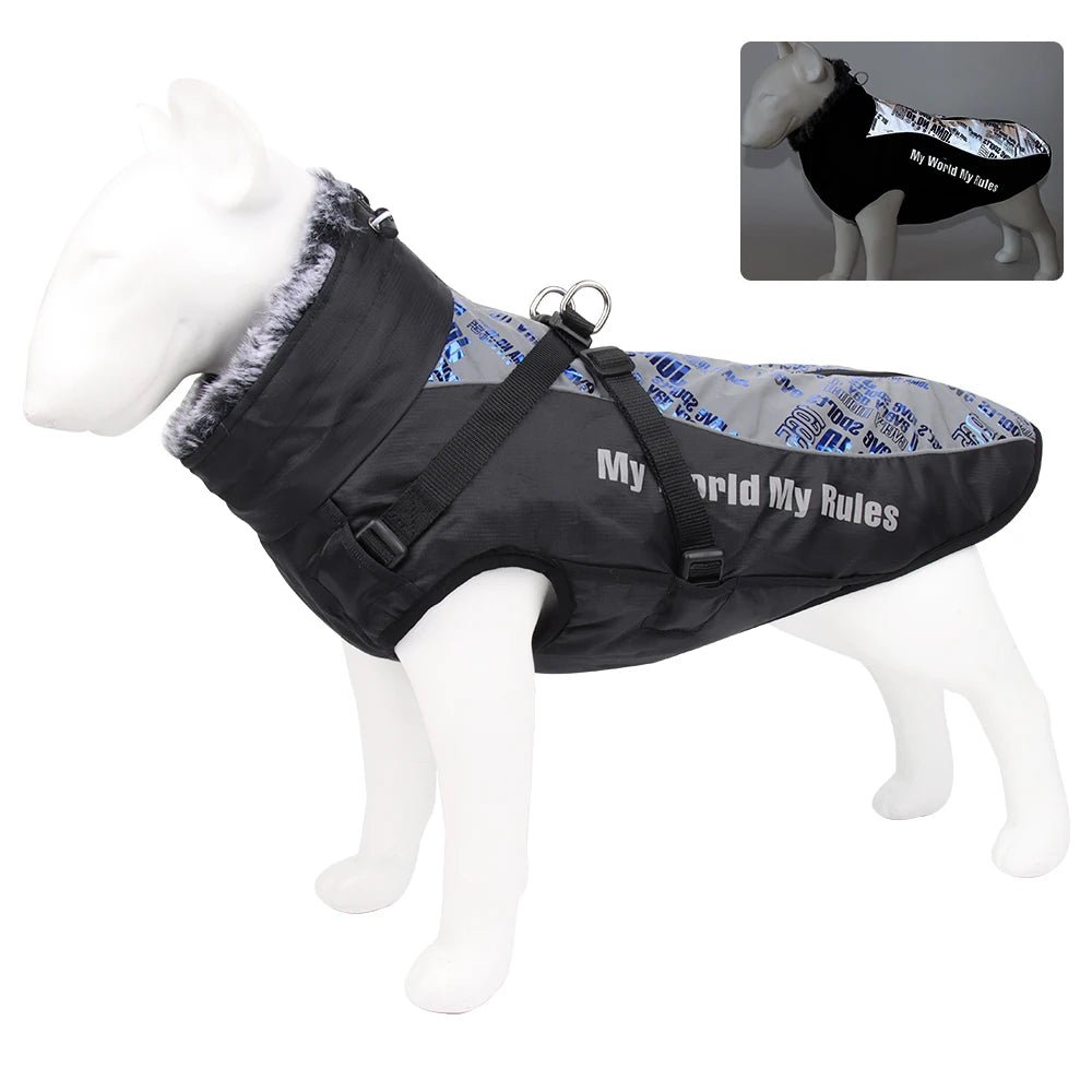 Harnais gros chien hiver ecriture 