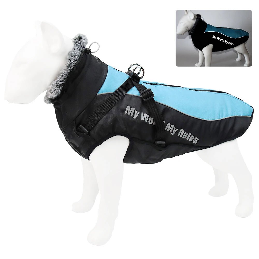 Harnais gros chien hiver bleu