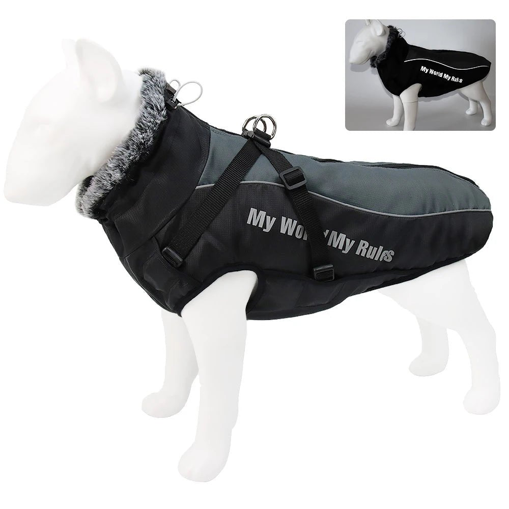Harnais gros chien hiver noir