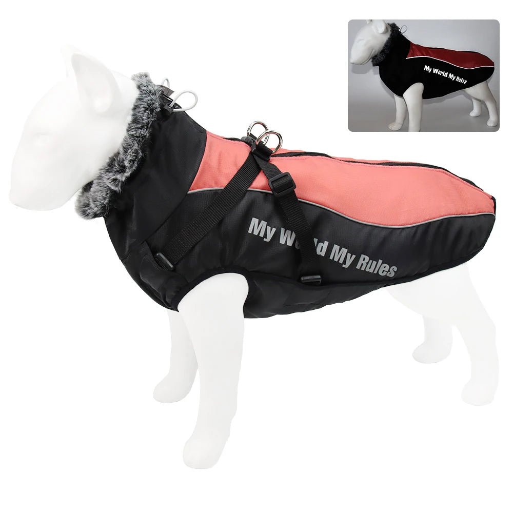 Harnais gros chien hiver orange 