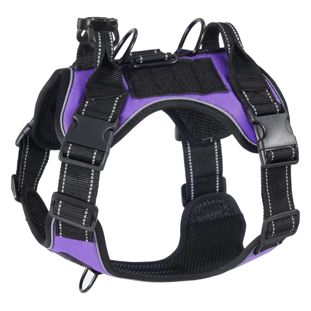 Harnais gros chien violet