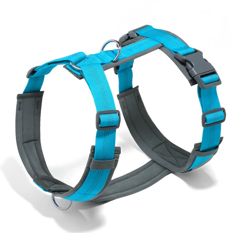 Harnais hunter chien bleu et gris