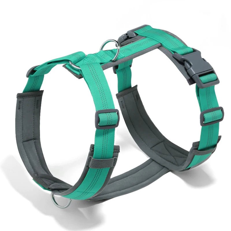 Harnais hunter chien turquoise 