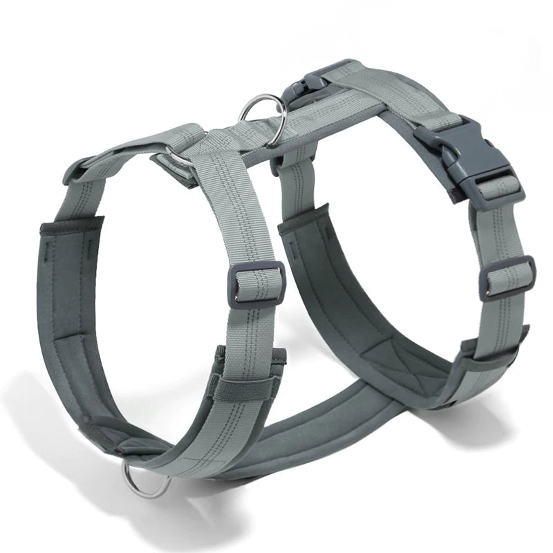 Harnais hunter chien gris