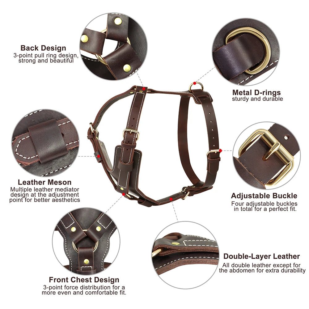 Harnais luxe pour chien avantageas 