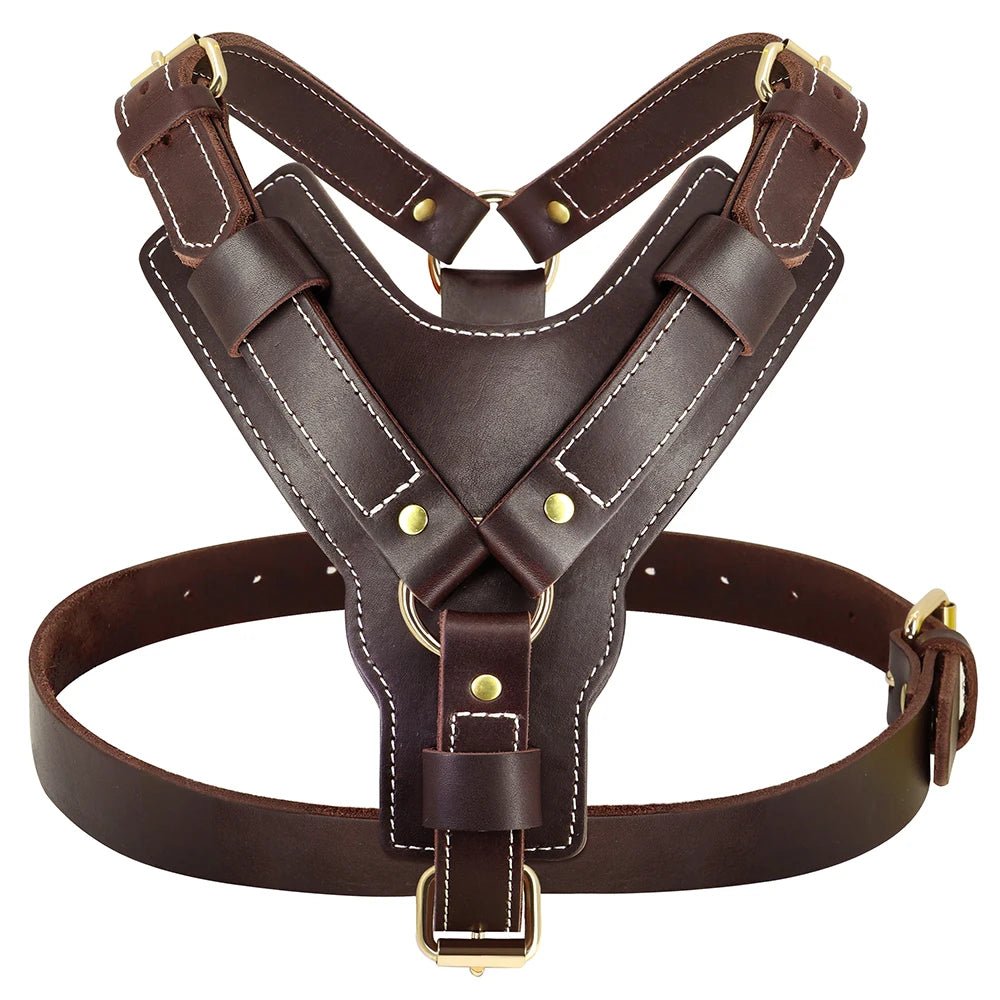 Harnais luxe pour chien