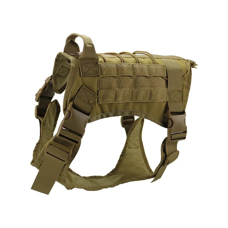 Harnais militaire chien malinois