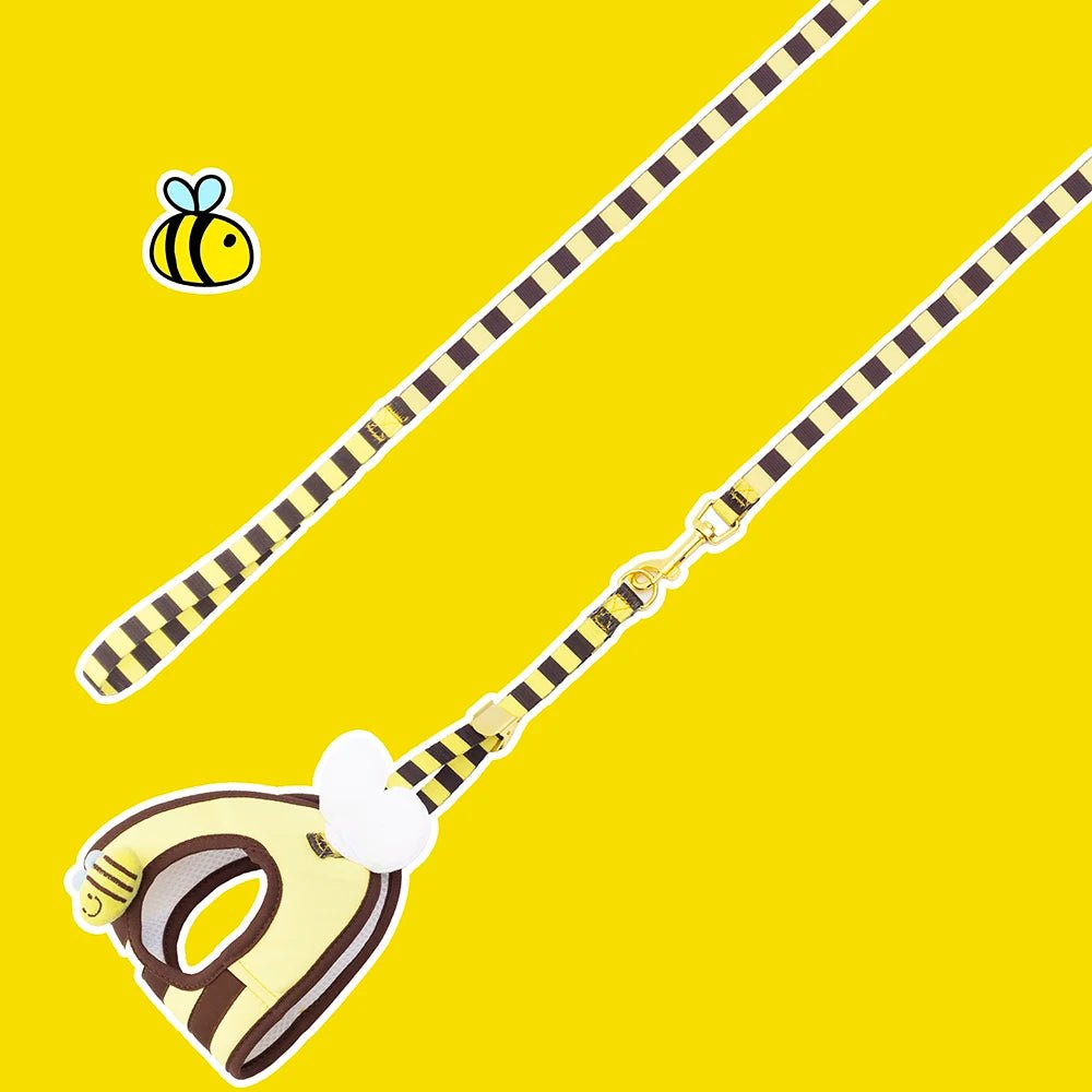 Harnais et laisse abeille en nylon pour petit chien 