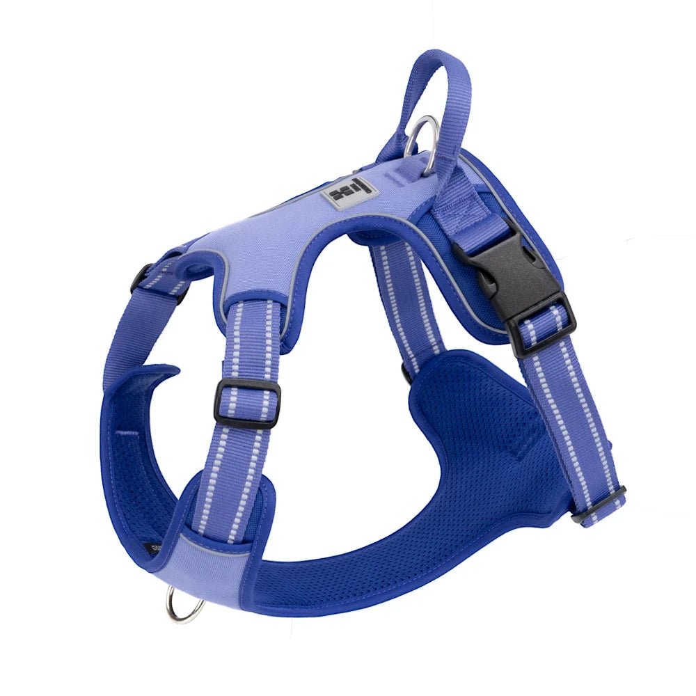 Harnais nylon gros chien de couleur bleu 