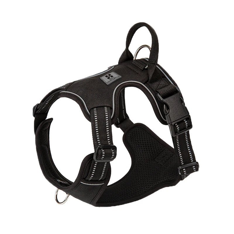 Harnais nylon gros chien de couleur noir
