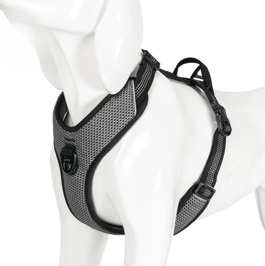 harnais pour petit chien parachute de couleur gris sur un mannequin chien