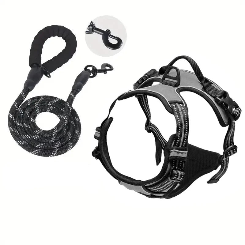 laisse et harnais pour chien de couleur gris  résistant et durable. Image produit Boutiquechien