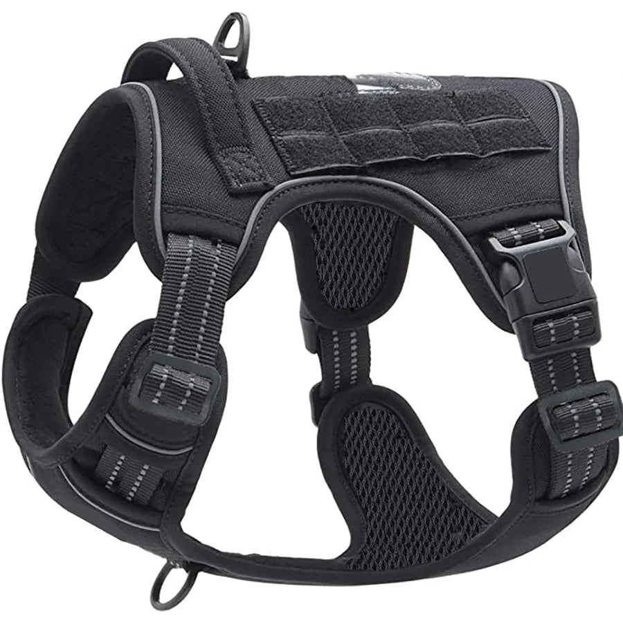 Harnais pour chien sportif