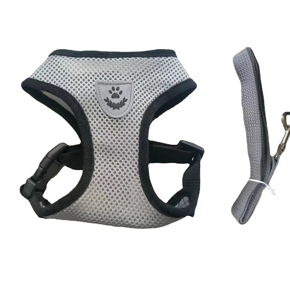 Harnais pour chien en nylon respirant de couleur gris avec laisse assortie. Image produit Boutiquechien 