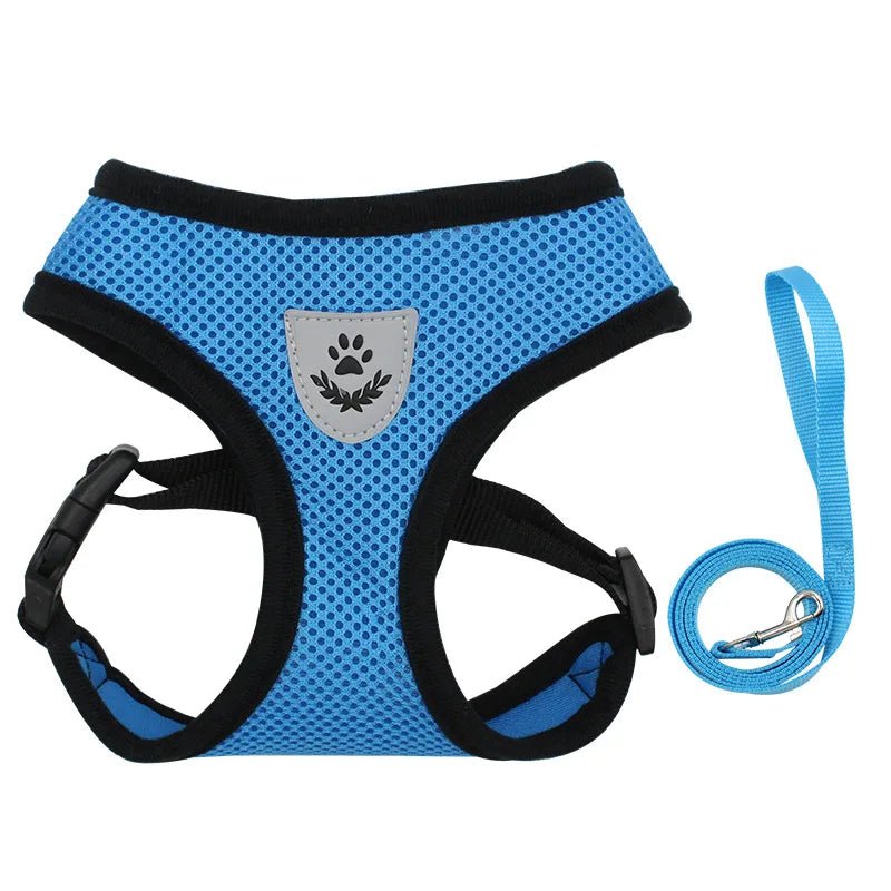 Harnais pour chien en nylon respirant de couleur bleu claire avec laisse assortie. Image produit Boutiquechien 