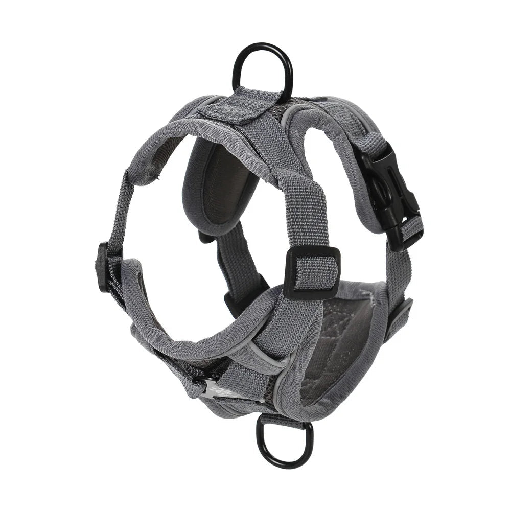 harnais chihuahua gros double attache de boutiquechien noir. Image produit de boutiquechien
