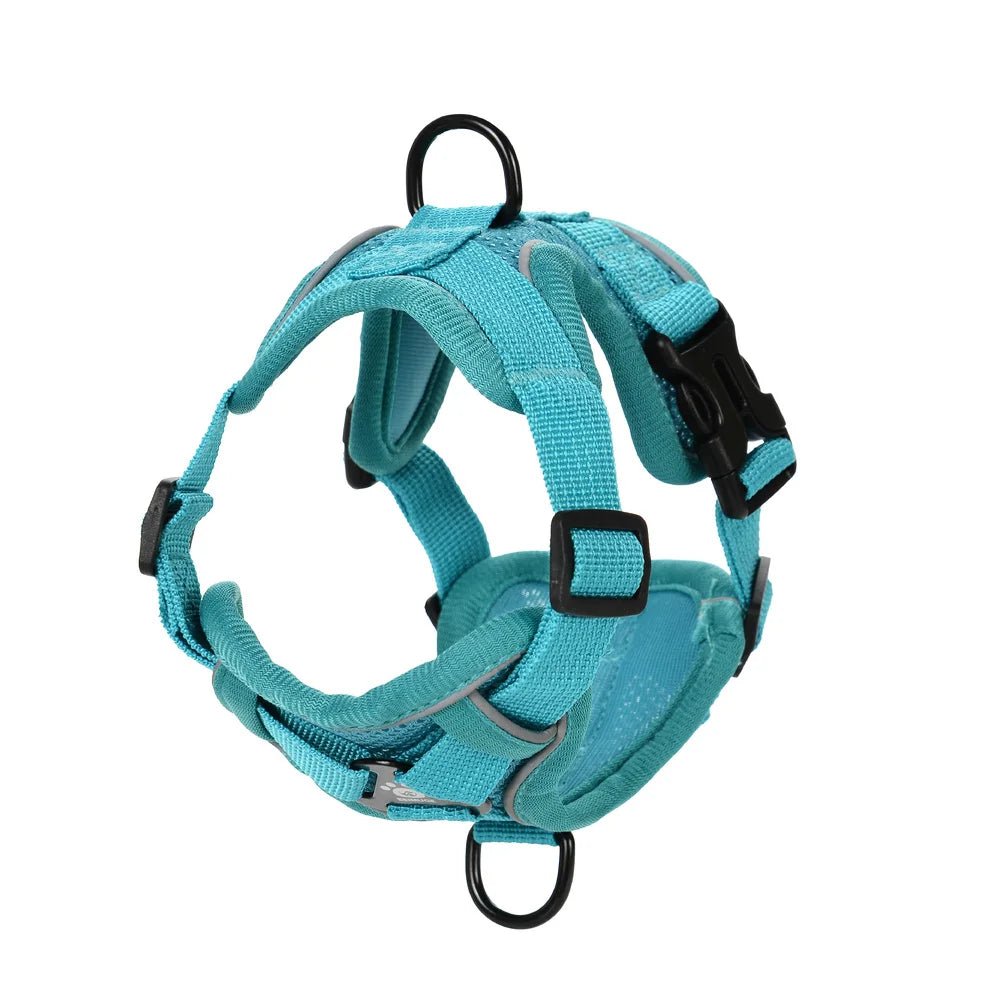 harnais chihuahua bleu double attache de boutiquechien. Les attaches sont de couleur noir. Image produit Boutiquechien