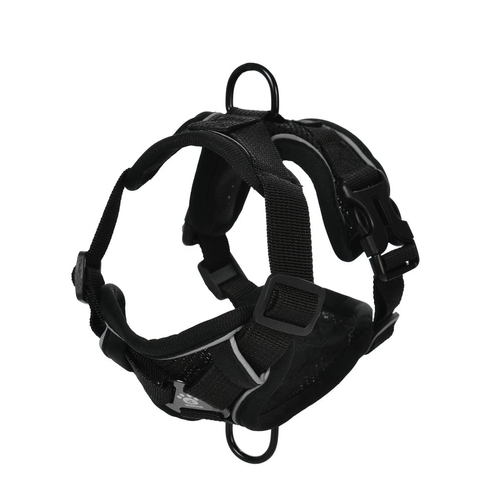 Harnais pour chihuahua de couleur noir avec deux attaches. Image produit Boutiquechien