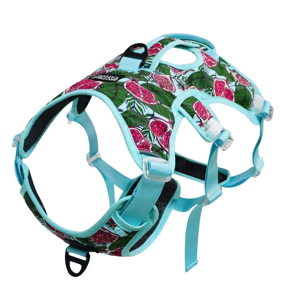 Harnais pour chiot staffie de couleur bleu et vert pour grand chiot staffie