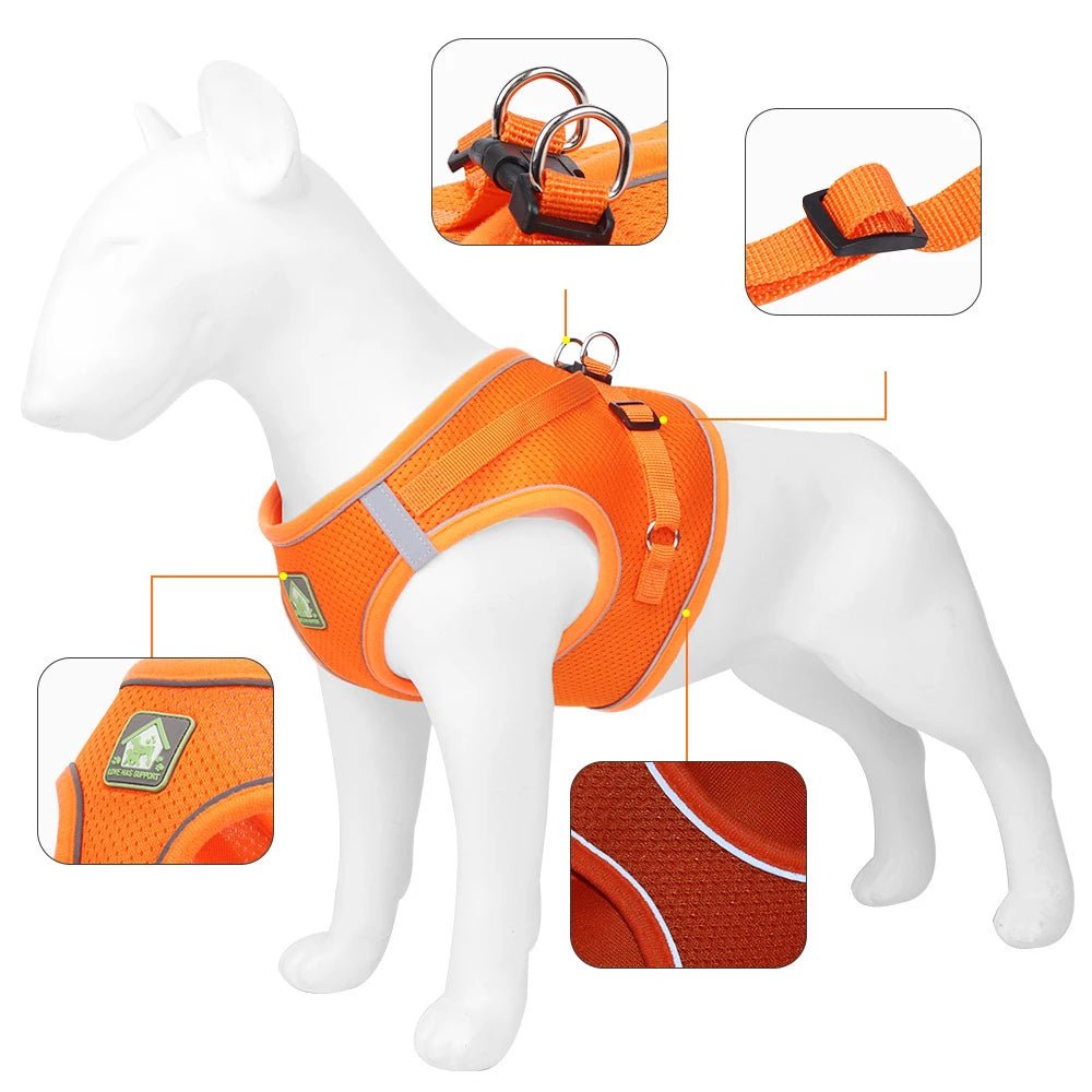 Harnais pour petit chien 4 kg sur un mannequin 