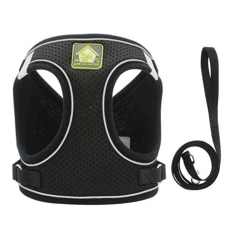 Harnais pour petit chien 4 kg noir