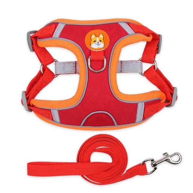 Harnais pour petit chien 5 kg rouge 