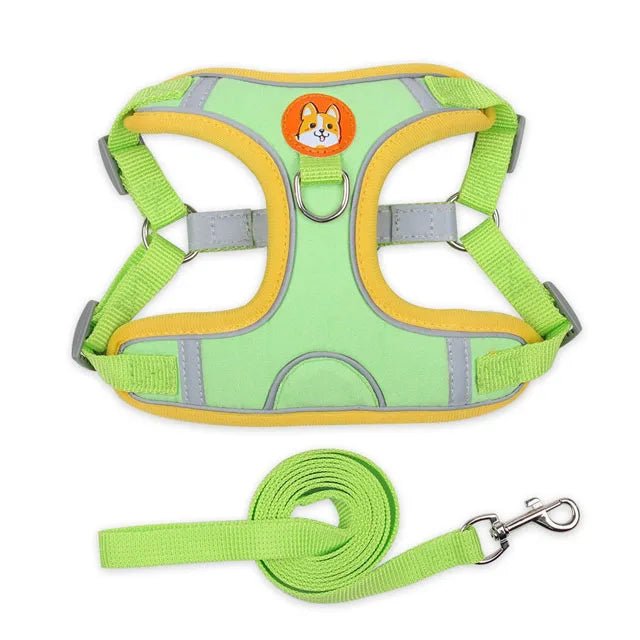 Harnais pour petit chien 5 kg vert