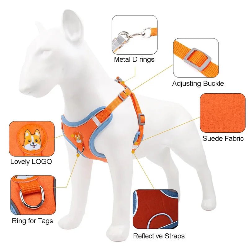Harnais pour petit chien 5 kg avantages du produit 