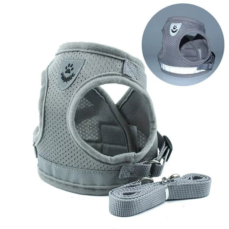 Harnais pour petit chien 6 kg gris 