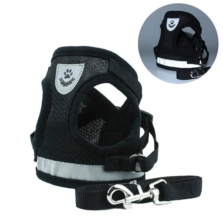 Harnais pour petit chien 6 kg noir