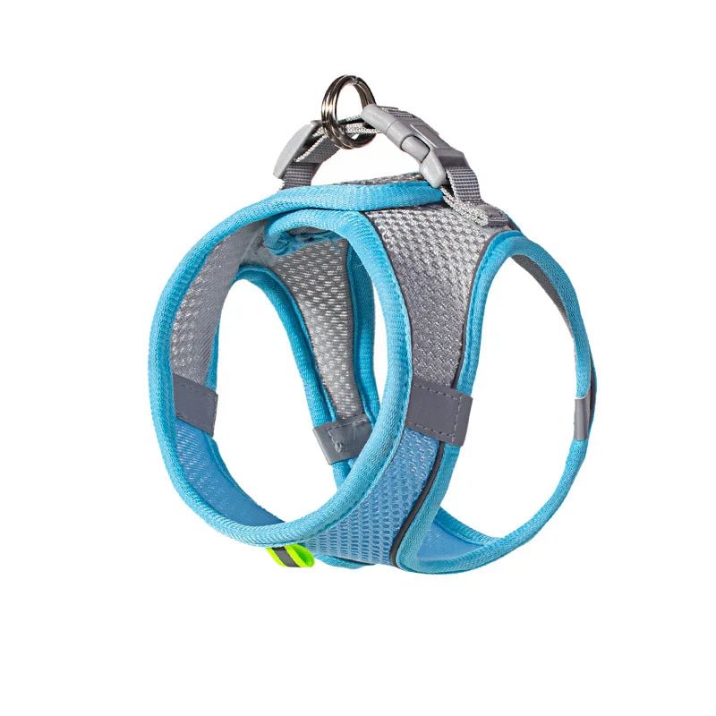 Harnais pour petit chien bichon maltai bleu