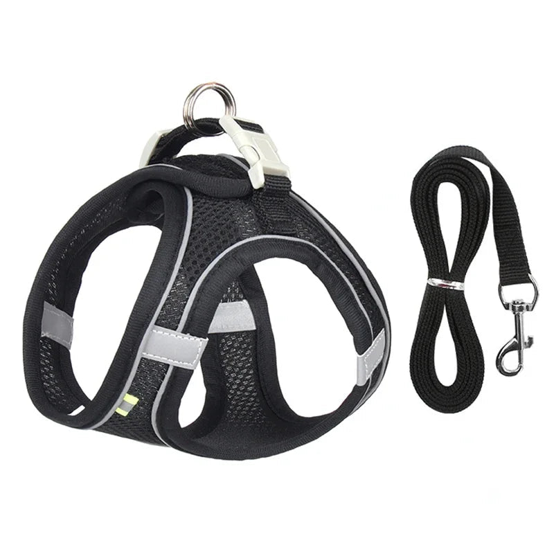 Harnais pour petit chien bichon maltai noir 