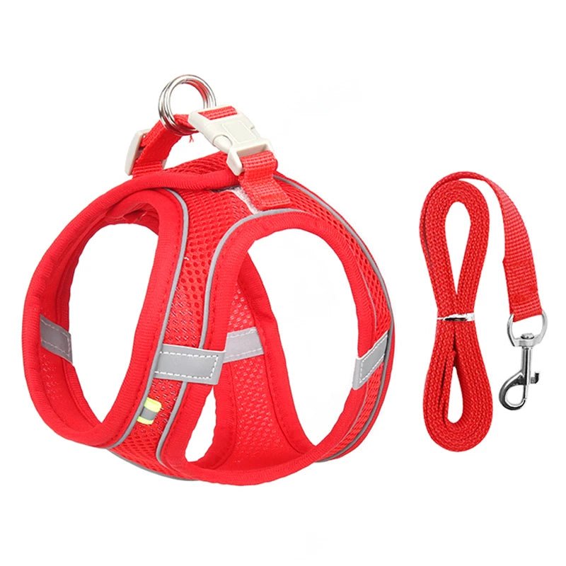 Harnais respirant chien rouge fabriqué en nylon pour petit chien avec laisse assortie 