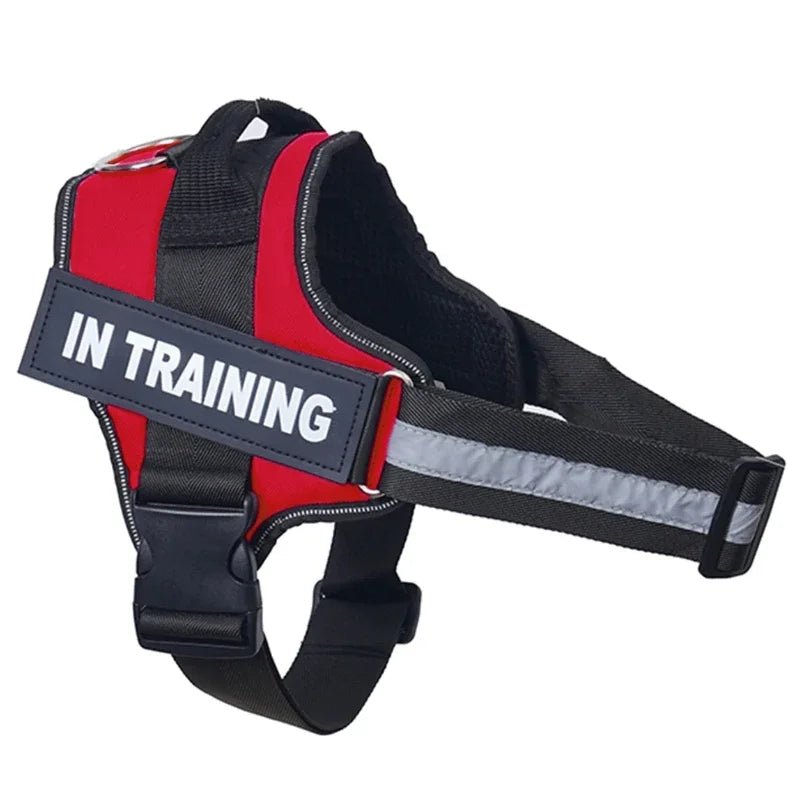 Harnais pour petit chein de couleur rouge et noir anti traction de boutiquechien