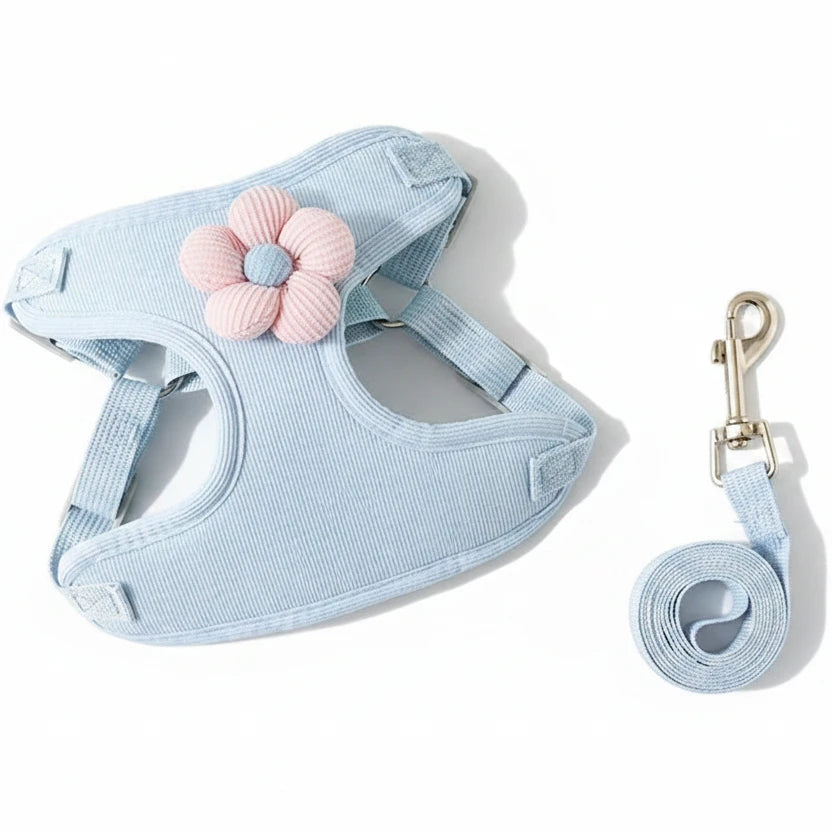 Harnais pour chien sensible de petite taille bleu de boutiquechien en lot