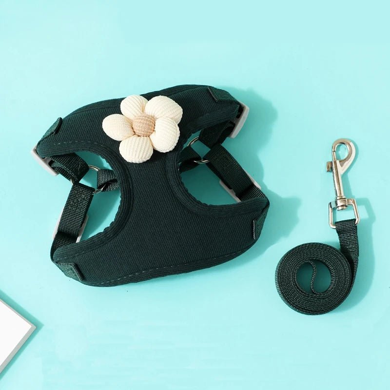 Harnais pour chien sensible de petite taille noir de boutiquechien en lot