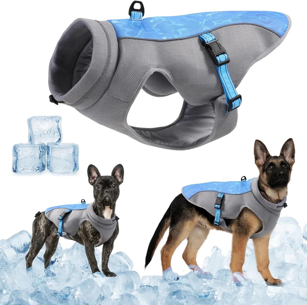 Harnais rafraichissant chien glace
