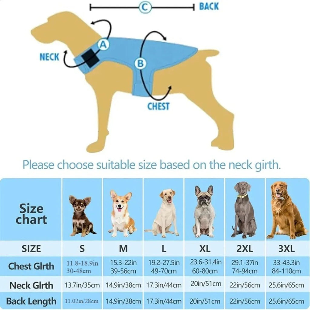 Harnais rafraichissant chien dimensions 