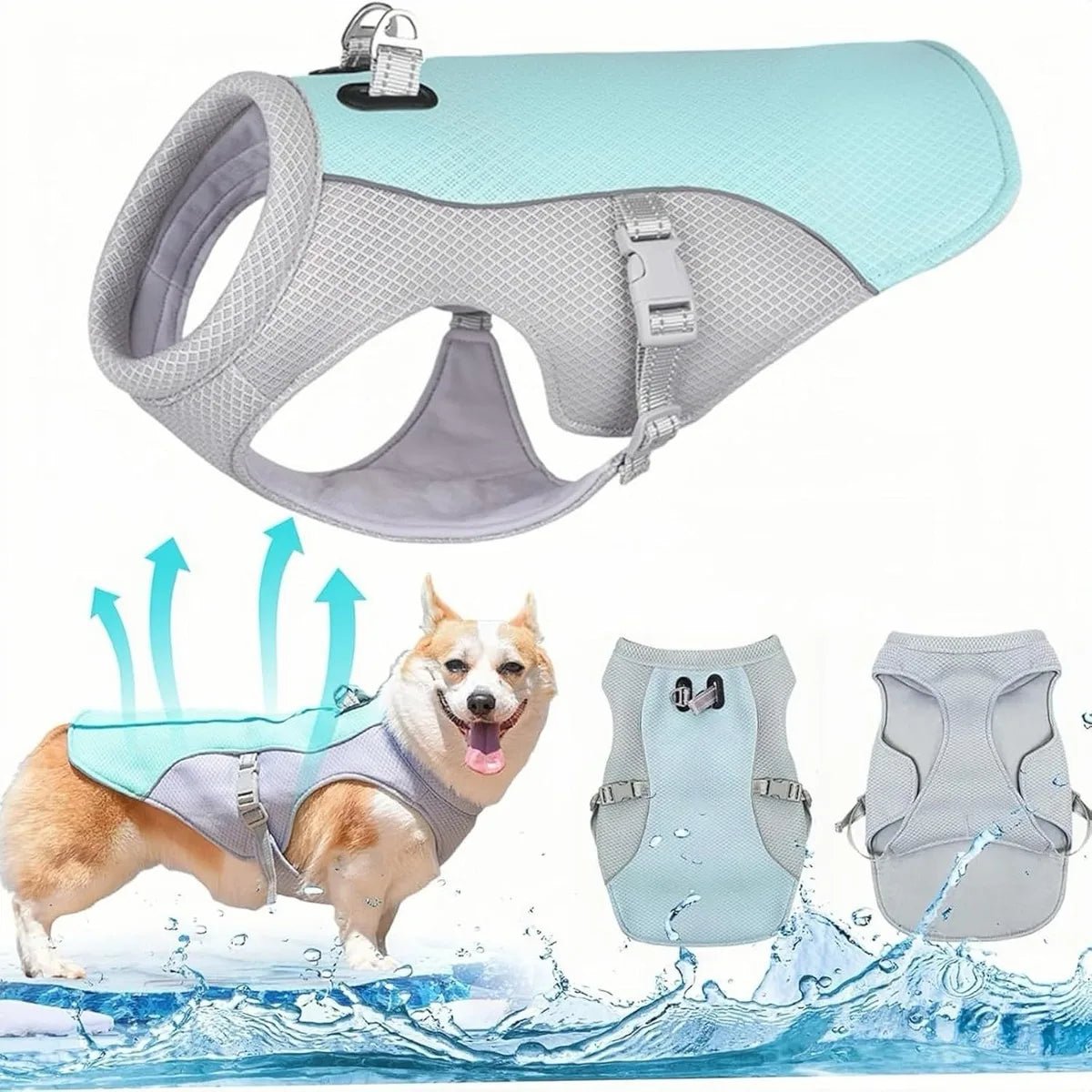 Harnais rafraichissant chien produit 