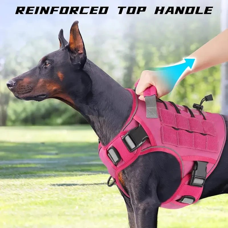 Harnais rose pour chien sur doberman