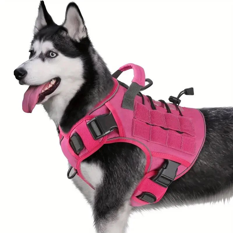 Harnais rose pour chien sur husky