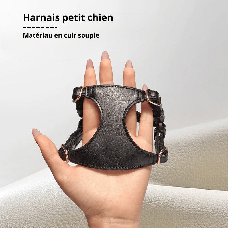Harnais cuir de couleur noir pour petit chien tenant dans la main d'une femme à long ongle. Image produit Boutiquechien