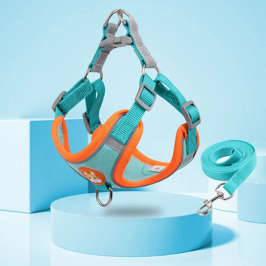 Harnais avec laisse pour chien de couleur bleu avec laisse assortie. Harnais bleu et orange de boutiquechien