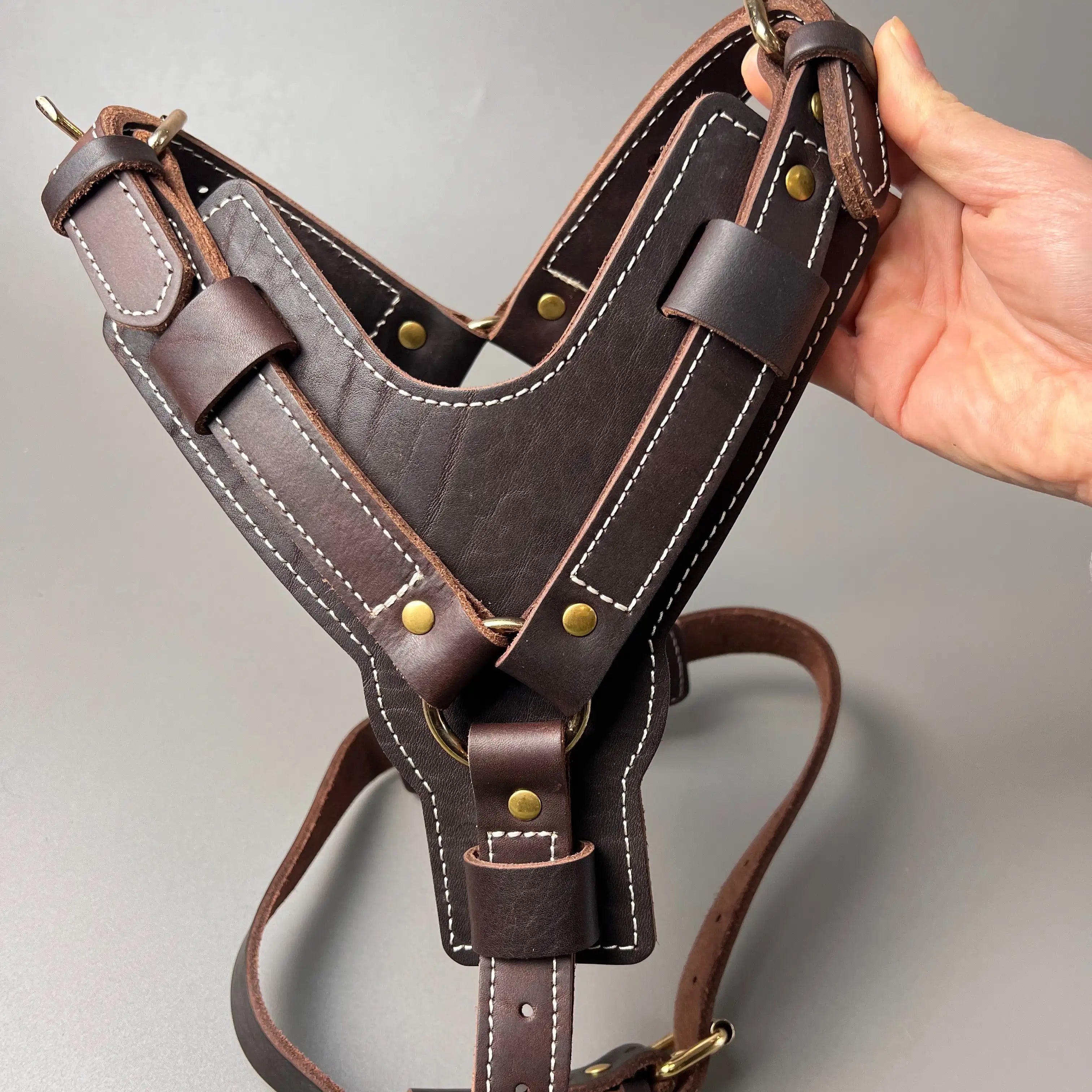 Harnais pour chien en cuir en forme de Y pour les chiens de boutiquechien Image