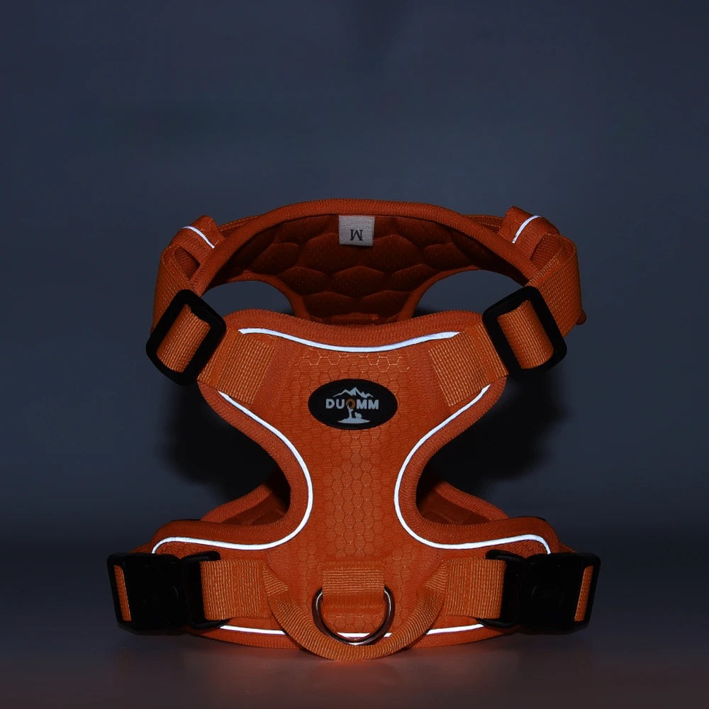 harnais pour chien réfléchissant de couleur orange. Image produit Boutiquechien