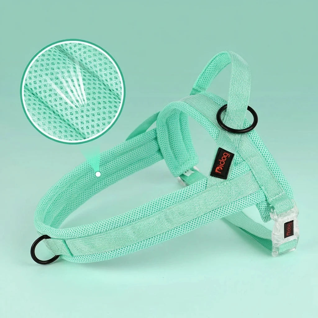 harnais pour chien pas cher de couleur turquoise et respirant 