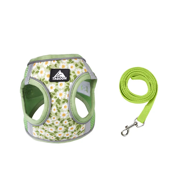 Harnais chiot de couleur vert à pâquerette. La laisse est avec de même couleur que le harnais petit chien. Image produit Boutiquechien 