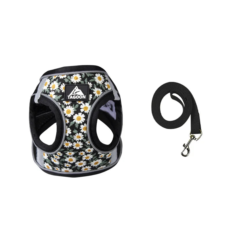 Harnais chiot de couleur noir à pâquerette. La laisse est avec de même couleur que le harnais petit chien. Image produit Boutiquechien 